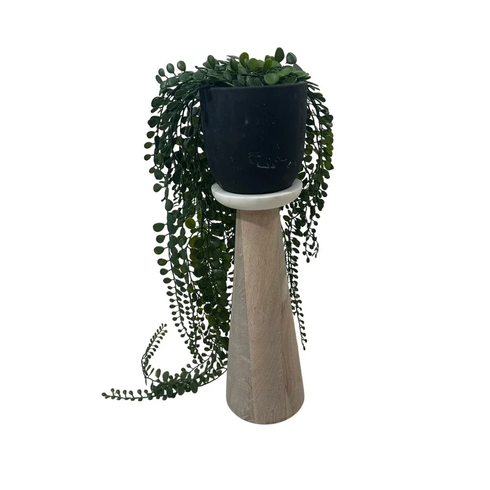Artificial Trailing Succulent Plant in Black Matte Pot 30‎ Inch Green Faux Vine